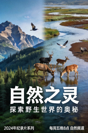 纪录片海报：自然风光与野生动物摄影